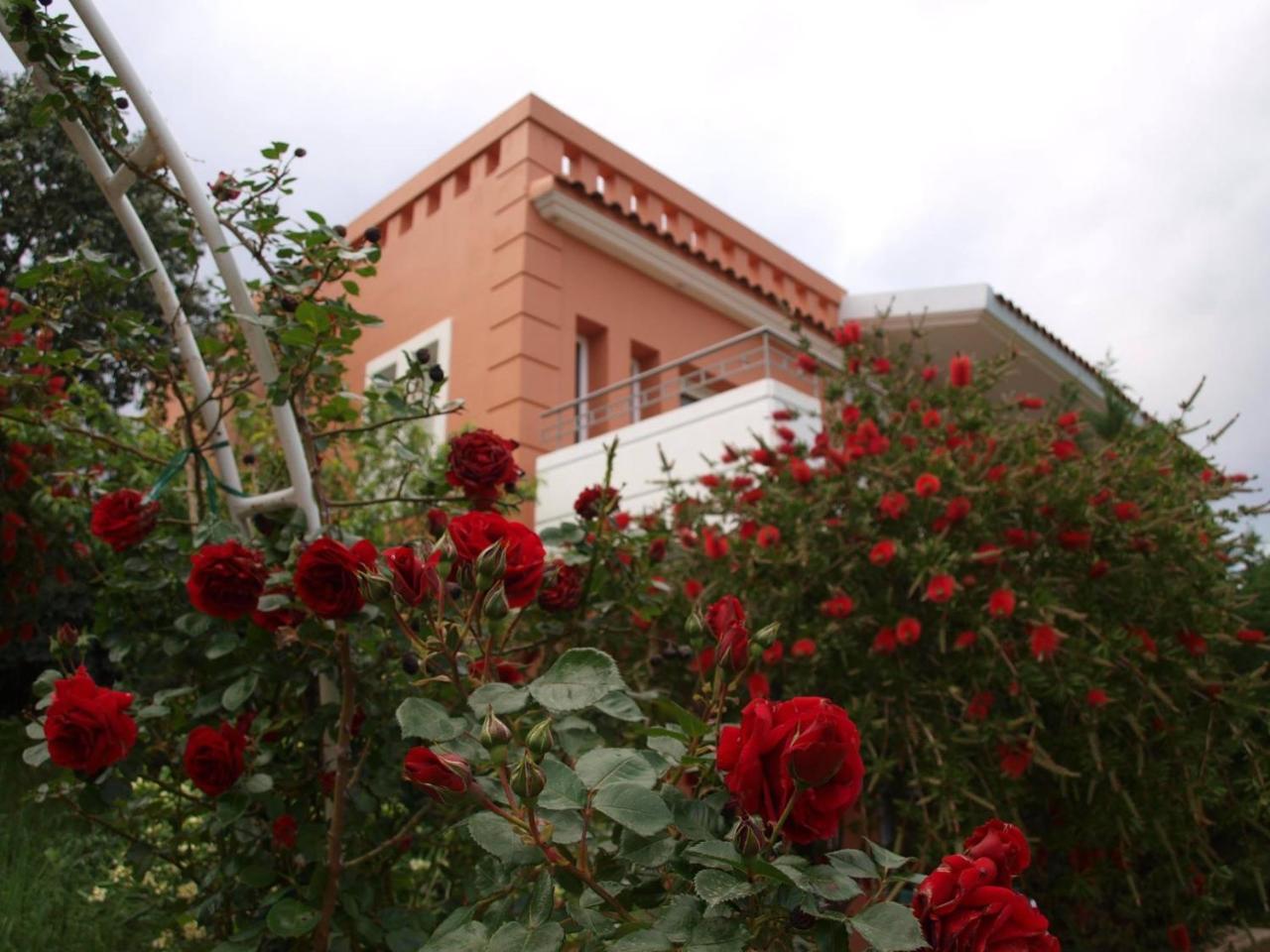 Thalassa Hotel & Spa Palairos Exterior photo