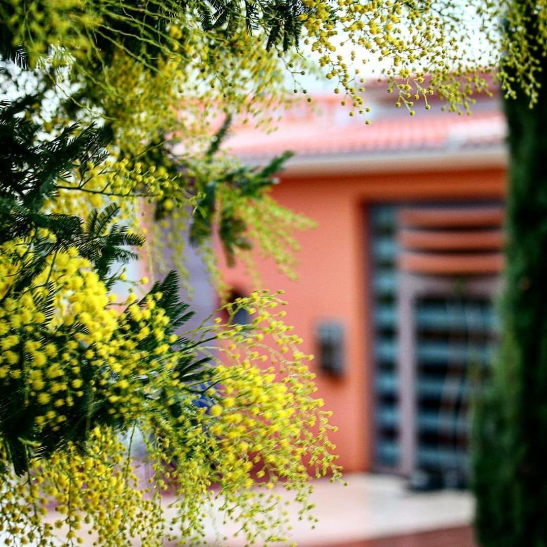 Thalassa Hotel & Spa Palairos Exterior photo